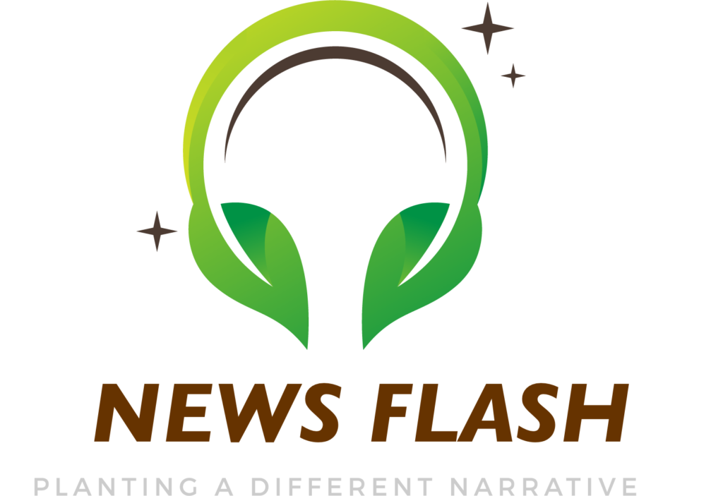news flash перевод на русский